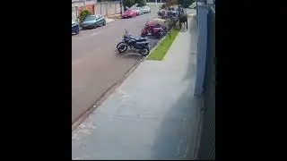 лошадь угнала мотоцикл