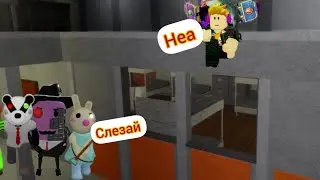 Полезные баги в Пигги!!!