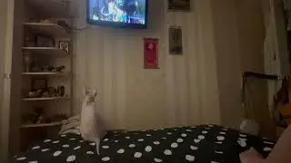 Ляля 1