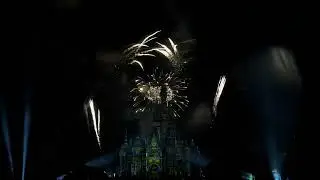 Walt Disney World Magic Kingdom Fireworks