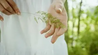 Veda Mevsimi Şiiri