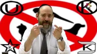 Rabbi David Kaplan - Philosophy of Mitzvot: Forbidden Animals