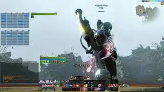 ArcheAge. Твины, инстансы.