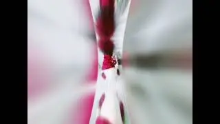 11 февраля 2021 г.