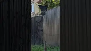 Как вам такое? #приколы #кайф #яндекстакси #дом #shorts #рек