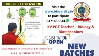 double fertilization II  Formation of Endosperm 3n