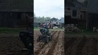 Подготовка участка к посадке картофеля.