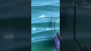 Its awesome !!! If you liked it then subscribe our channel & droap a like ; comment 