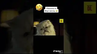 Предупреждение! Тут много матов строго слушайте в наушниках!