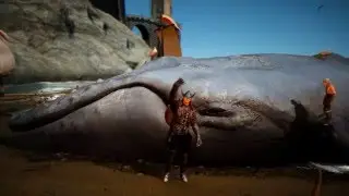 Black Desert Online - Fishing Boat Guide! (English)