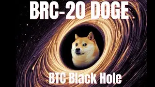 My Secret BRC-20 That I Am Minting Now
