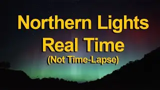 Northern Lights with Ramu