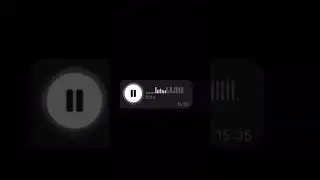 Тг: Любимый Zhechka Elite 🪽