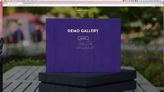 Sharing Gallery Selections