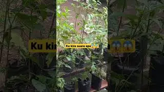 #reel #reels #reelsvideo #reelsviral #shortsvideo #shortvideo