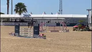 Fape Sir 99 , stallion 2016 by Stakkato Gold x Scendix ( Sierra)