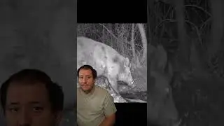 Un jabalí enorme | Noticias con club de caza