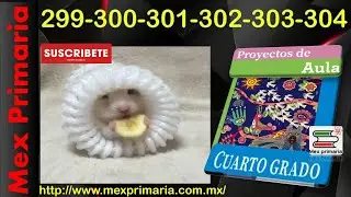 Proyectos de Aula 4, pag, 299,300,301,302,303,304, El juego es un espacio para todos.