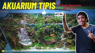 proses pembuatan Aquascape di akuarium tipis