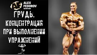 Chest. Concentration in Exercises