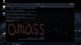 Amass - Attack Surface Mapping & Asset Discovery - BlackArch Linux #5