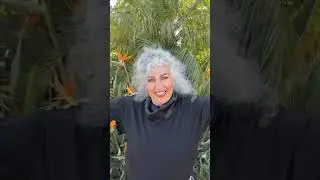 Queridos amigos de Guadalajara, ❤️ el 6 de septiembre tenemos una cita en el Auditorio Telmex.