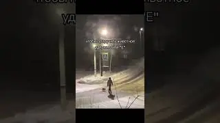 Hold E to tame an animal | Video by: @nikolaigogol.79