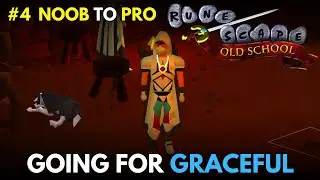 Graceful Outfit Grind! | Canifis Agility Course | OSRS
