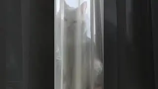 как нелегко быть звездой😂 