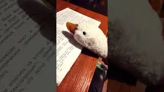 Гриша учит стих