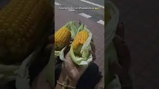 Arunachalam Giri Pradakshina | Girivalam in thiruvannamalai