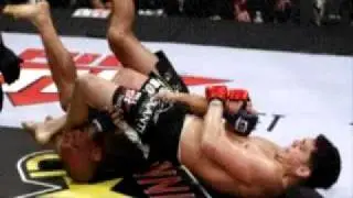 Top Beginner MMA Training Technique Program