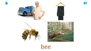 Trova un'immagine Gioco - Per bambini - Giochi educativi - Inglese - Flashcard - APP