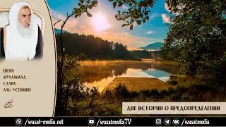 Две истории о предопределении | Каждый день история [21] | Шейх 'Усеймин ᴴᴰ