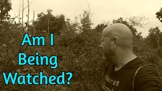 Bigfoot? Strange & Unusual - Am I being WATCHED???