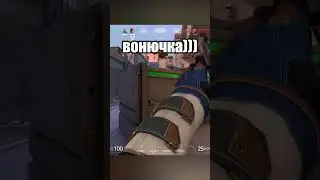 тварь по природе #valorant #валорант #момент #shorts #clips #reels #twitch #highlights #gaming