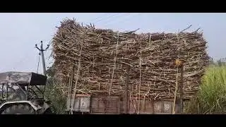 #Village #life #ytviral Aman Yadav