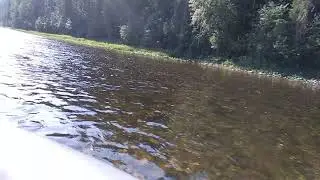 Рыбалка 2018