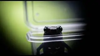 Что если амфибия ОТРАВИЛАСЬ? Как понять? Как помочь?