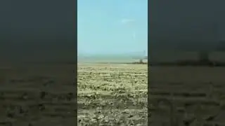 29 июня 2024 г.
