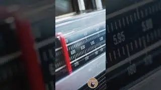 Мозг по Фрейду