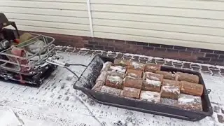 За дровами в лес на Мухтаре.