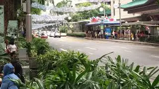 Lamborghini Convoy Orchard Road - Part 1