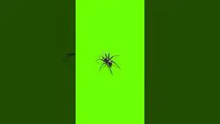3D Green screen effect video# Black screen effect Video # kinemaster effect video#Shorts