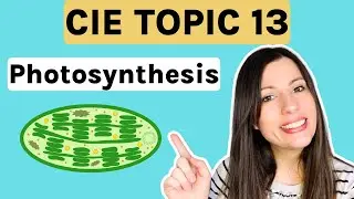Photosynthesis | Topic 13 ENTIRE topic for CIE