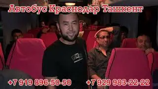 #автобус