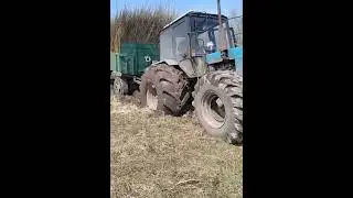 Трактор МТЗ #4x4 #трактор #tractor #мтз #топ #drawing #offroad #music