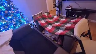 Living room fortress with Myah