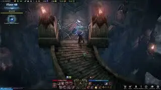 How to Clear Floor 48 Tower Shadespire | Lost Ark