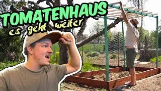 WAS ist mit dem GARTEN?- TOMATENHAUS für unseren GARTEN / GARTENUMBAU #5